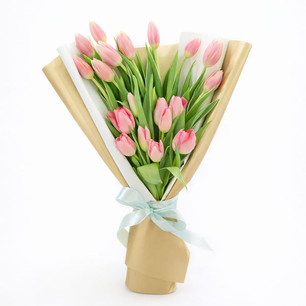Amor de Tulipanes deluxe