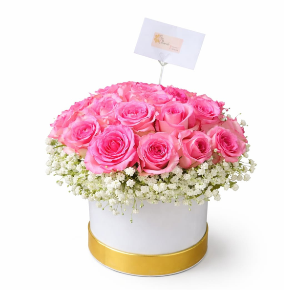 Aura de Rosas