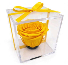 Mini Rosa Eterna – Detalle Elegante que Perdura