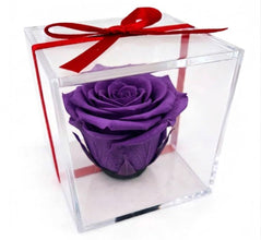 Mini Rosa Eterna – Detalle Elegante que Perdura