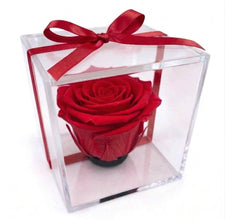 Mini Rosa Eterna – Detalle Elegante que Perdura