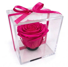 Mini Rosa Eterna – Detalle Elegante que Perdura