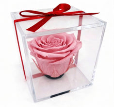 Mini Rosa Eterna – Detalle Elegante que Perdura
