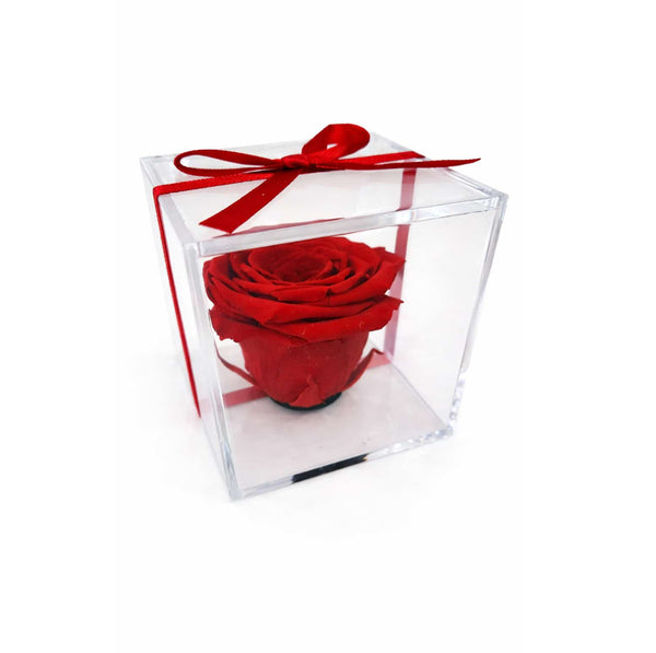 Mini Rosa Eterna – Detalle Elegante que Perdura