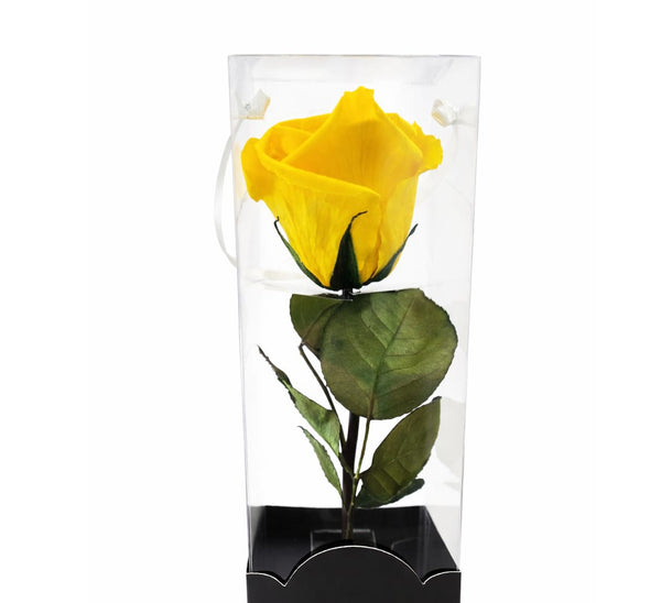 Rosa Eterna Clásica – Belleza Atemporal